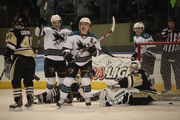 The Worcester Sharks played for nine seasons (photo credit: Worcester Sharks)
