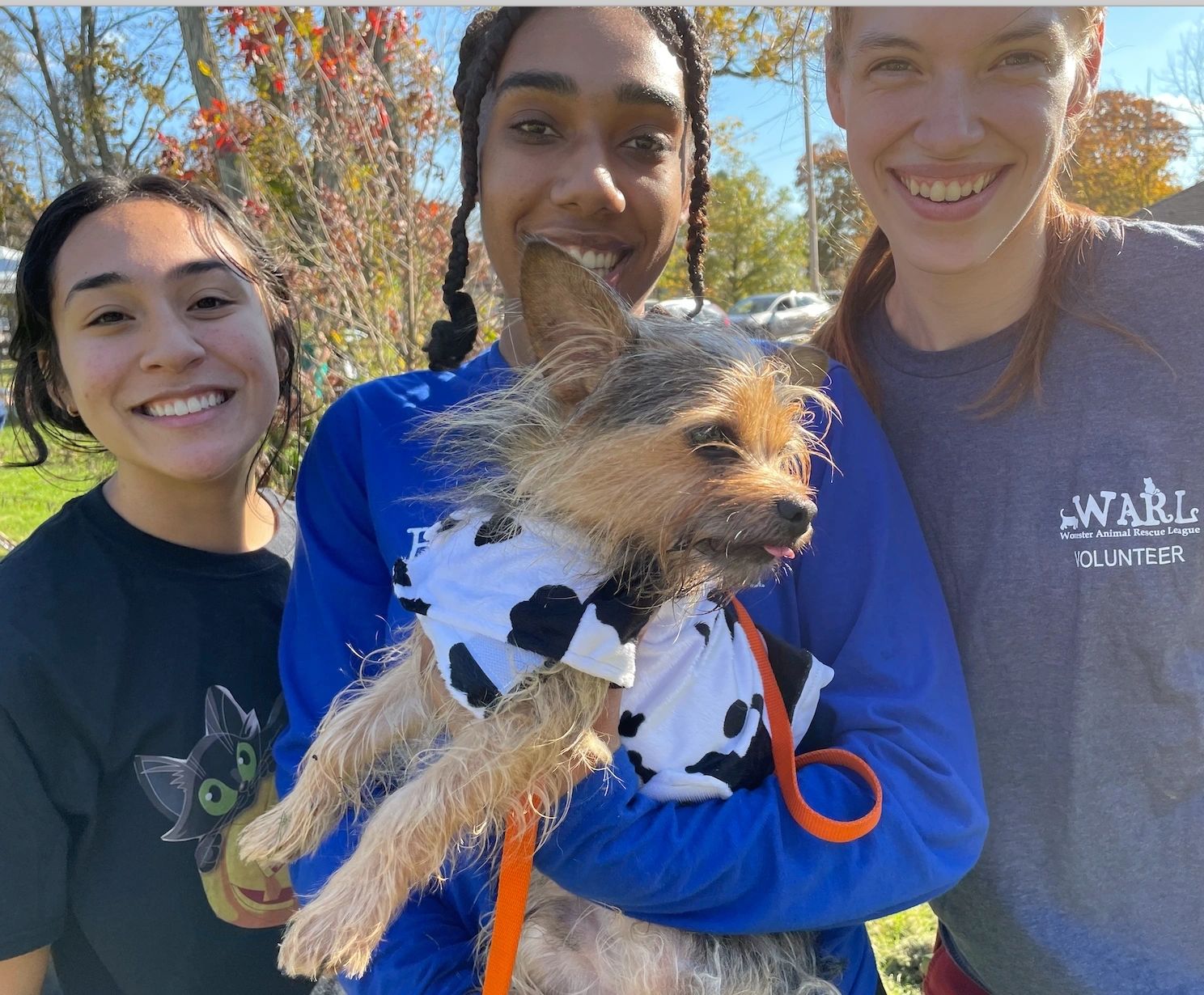 Zach the Yorkie mix with shelter employees Ashley Foley, Christine Pink and Collyn Daoust (photo by Sandy Quadros Bowles)
