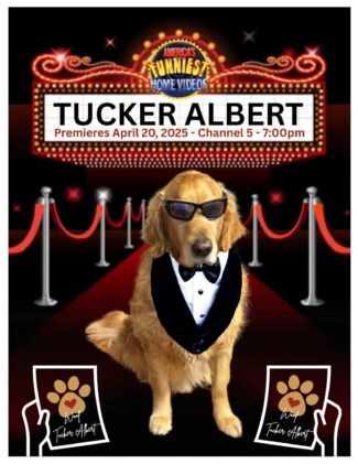 Tucker Albert's "promo poster" (photo submitted)