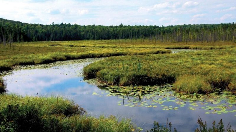 WPI profs earn state honor for decade of clean‑water projects