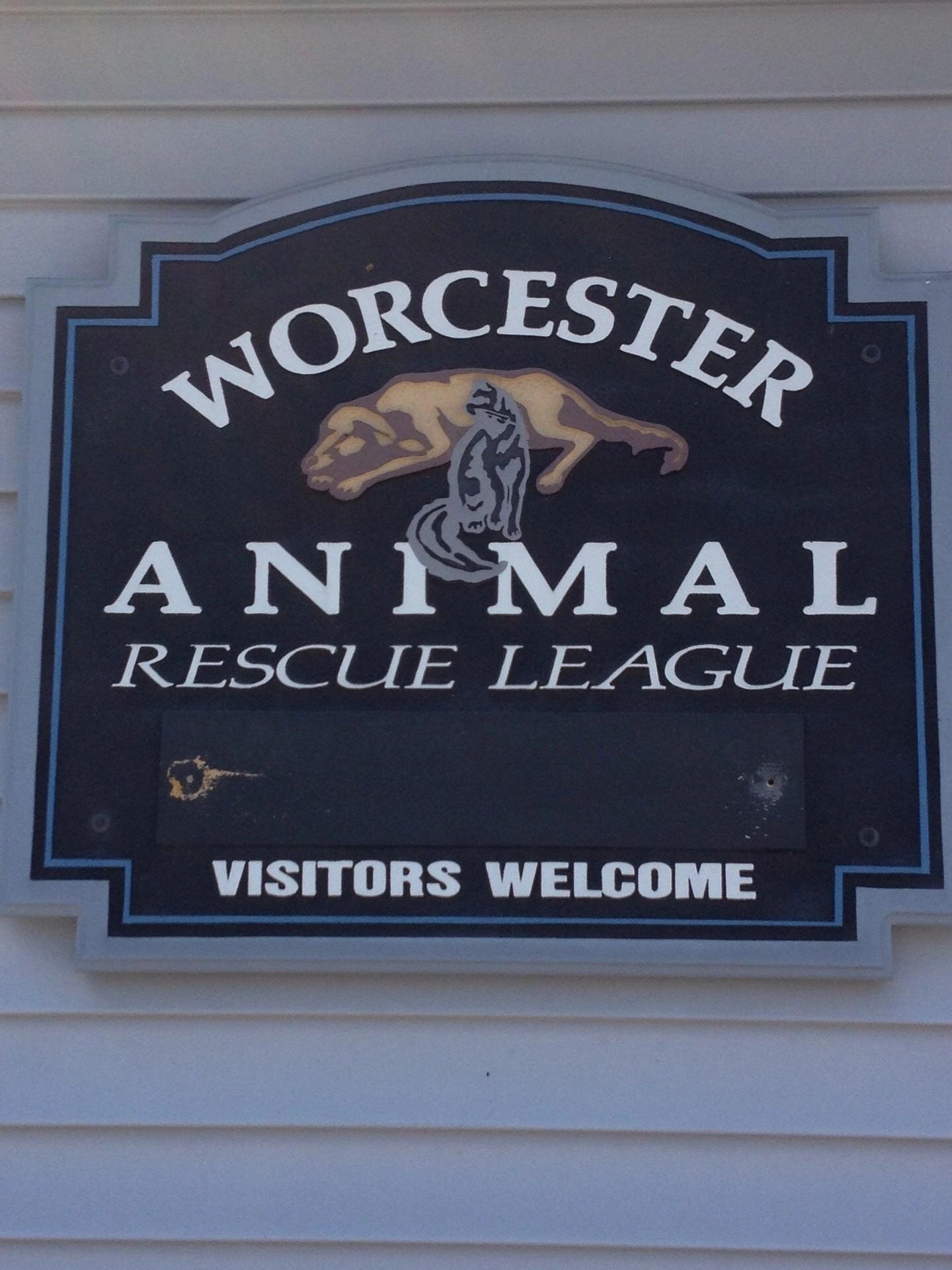 Wilson's currently at the Worcester Animal Rescue League