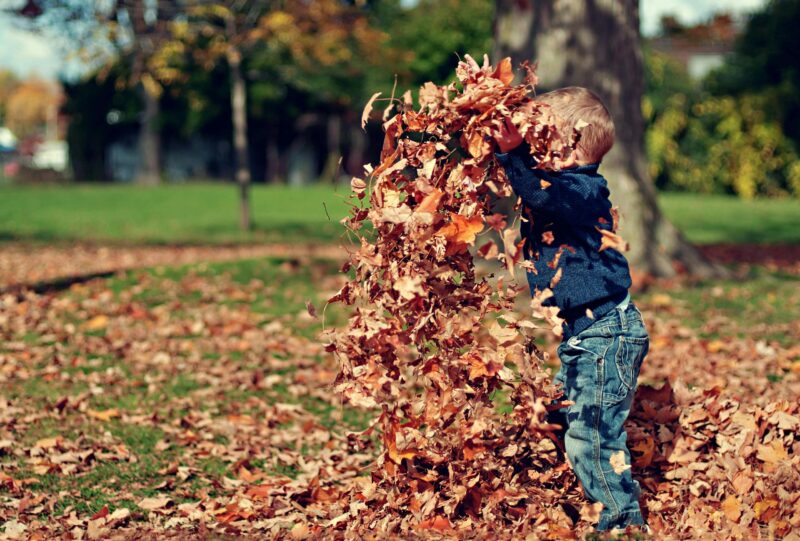 Leaf It to the city: Worcester’s annual fall pickup starts soon