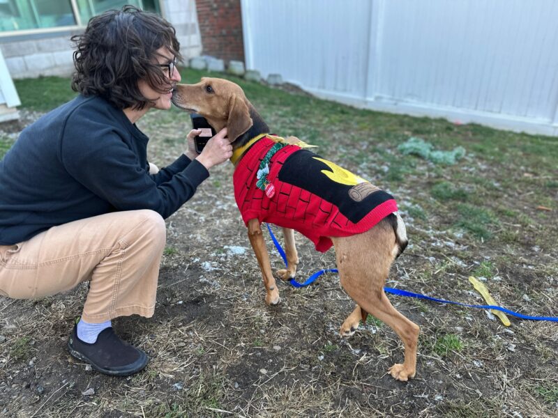Pup overload: WARL joins statewide dog adoptathon