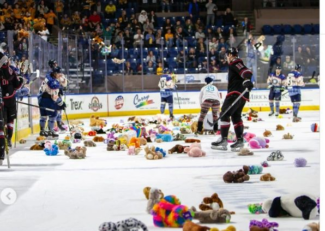 Former IceCats forward Igor Valeev courtesy of the American Hockey League