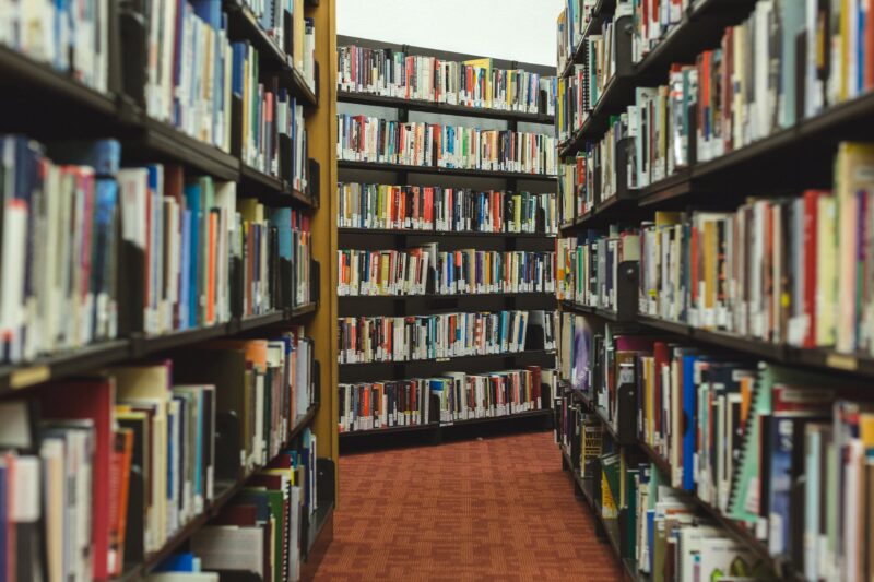 Senate moves to shield libraries from political book bans