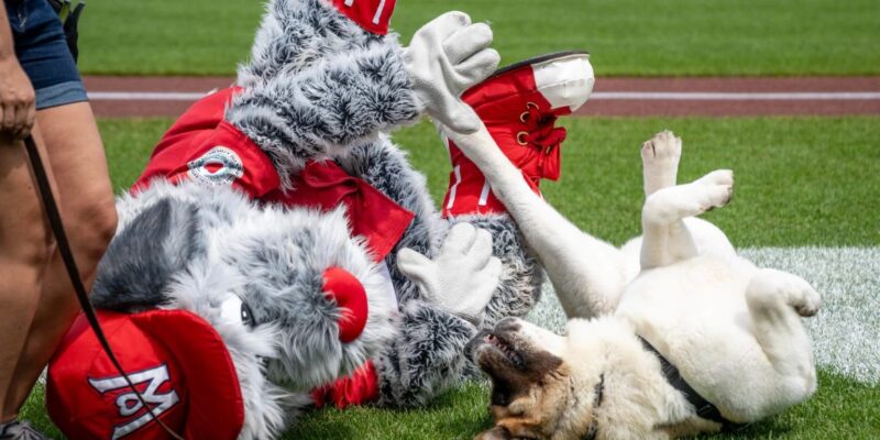 WooSox set Black Friday ticket launch for early 2026 slate