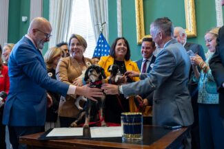 Gov. Maura Healey and Lt. Gov Kim Driscoll join state legislators and animal advocates to sign Ollie’s Law in September 2024.