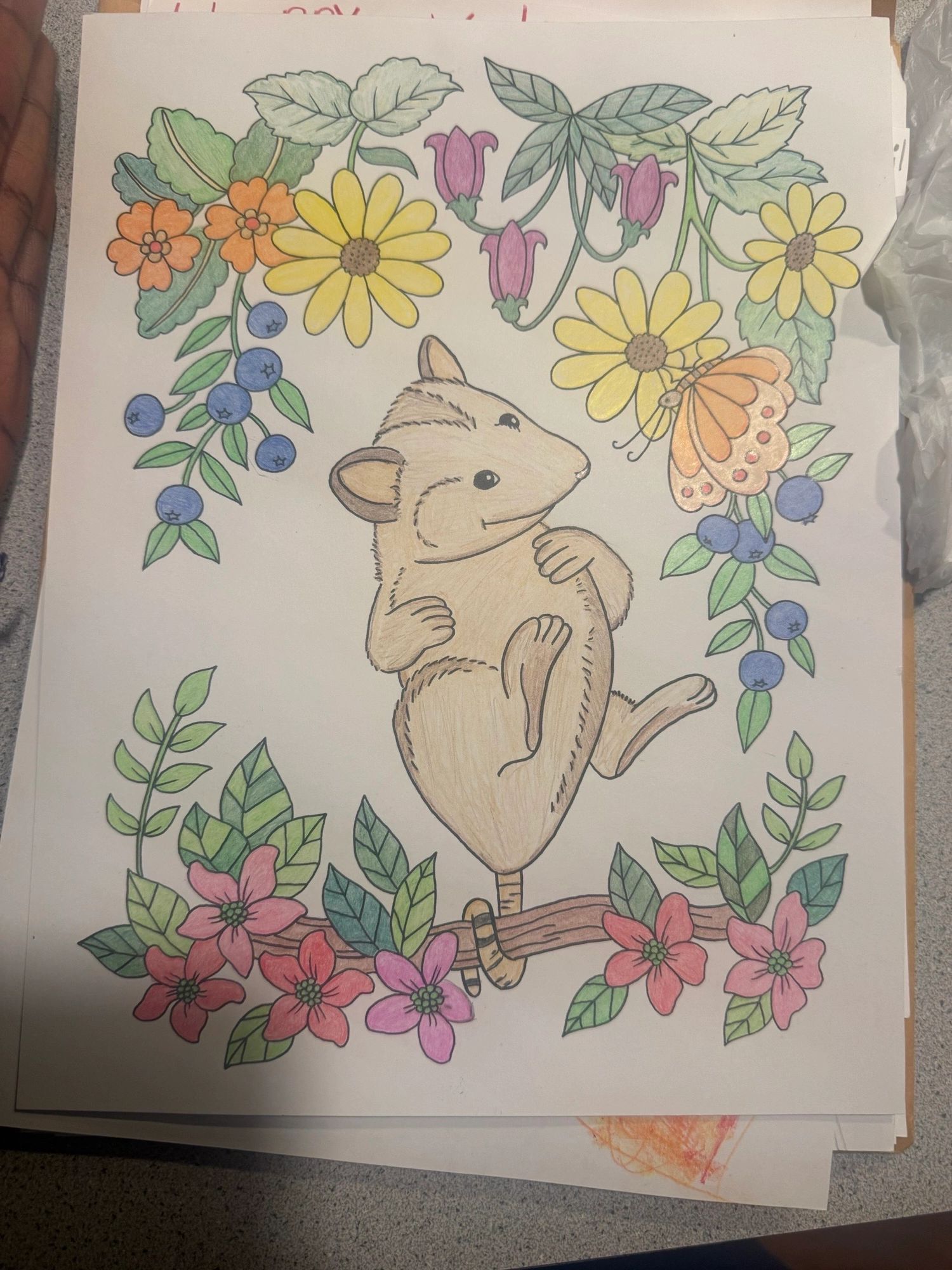 A local senior citizen colored hundreds of pages that were used to create Valentine's Day cards (photo submitted)