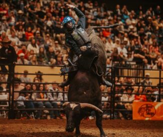Photo credit: Bulls