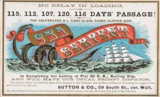 Remnants of everyday life reveal stories about the past