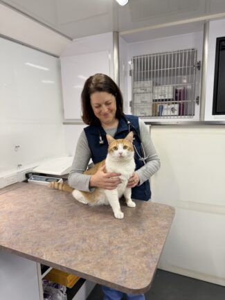 Week in review: Schools, health care and spring momentum