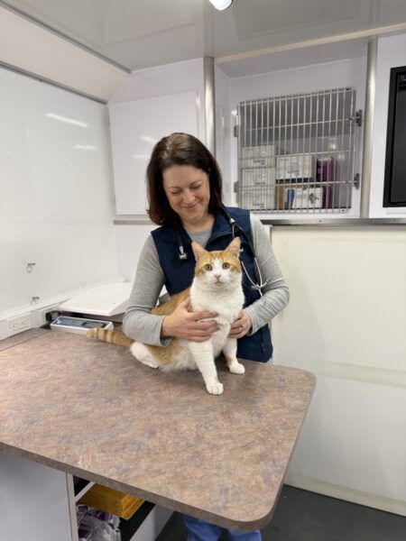 Week in review: Schools, health care and spring momentum