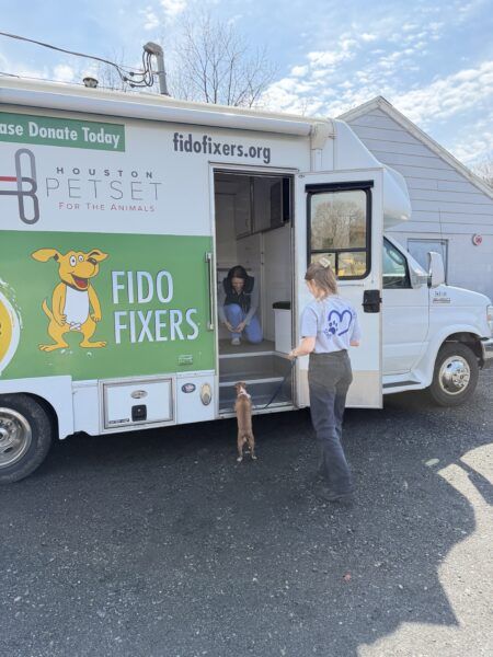 Mobile spay and neuter program launches with Worcester Animal Rescue League