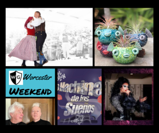 Pride, puffer fish and Vikings: 5 fun things to do this weekend