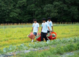 Eighty-three local teens trade summer vacation for community service through WooServes
