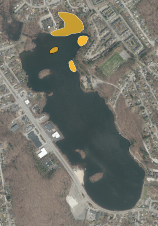 Keep out of the lake: herbicide treatment planned for part of Coes Reservoir to combat invasive plant
