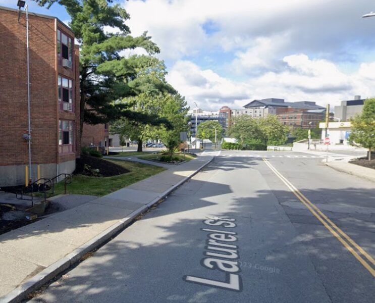 Council seeks answers on forgotten Arries Ann Ward tribute