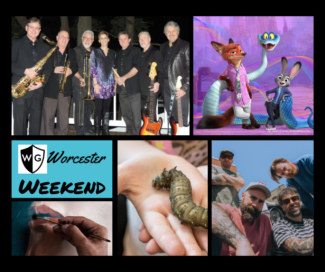 Punk, bugs and an ’80s farewell: 5 fun things to do this weekend