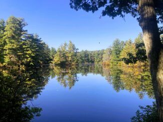 Smith Pond Beach closed after E. coli levels exceed safety standards