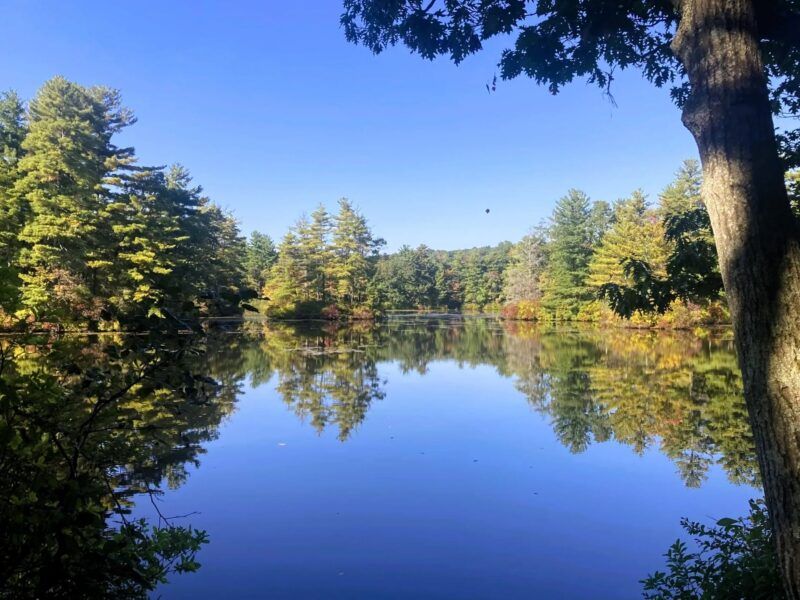 Smith Pond Beach closed after E. coli levels exceed safety standards
