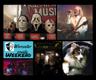 Disco, demons and dogs: 5 fun things to do this weekend