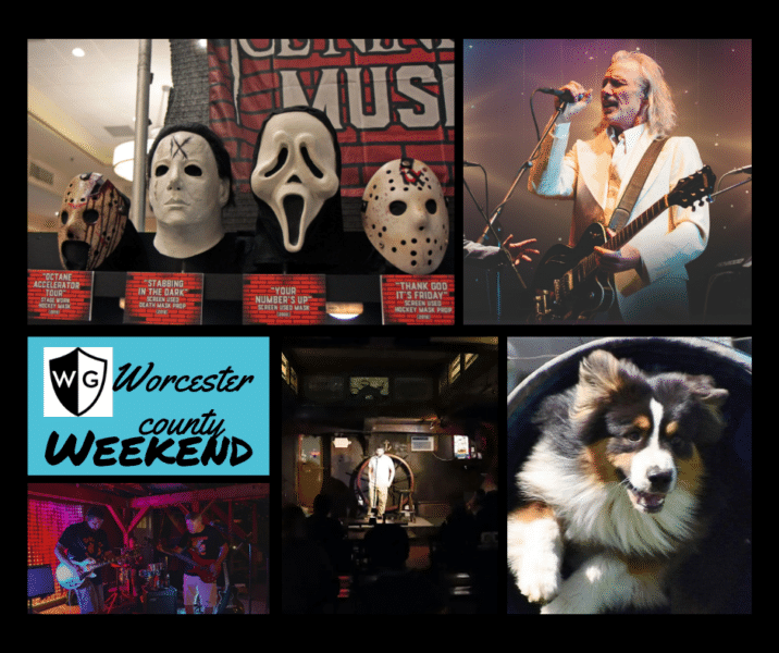 Disco, demons and dogs: 5 fun things to do this weekend