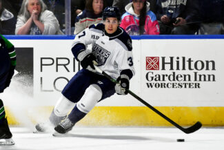 Railers goalie Gabriel Carriere brings AHL experience to Worcester